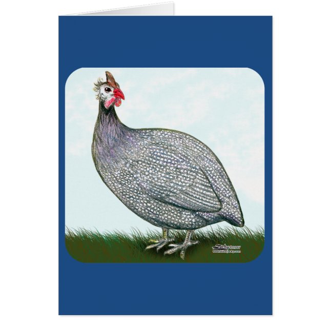 Guinese lavender On Watch (Voorkant)