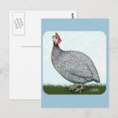 Guinese lavender On Watch Briefkaart (Voorkant / Achterkant)