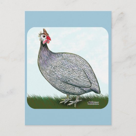 Guinese lavender On Watch Briefkaart (Voorkant)