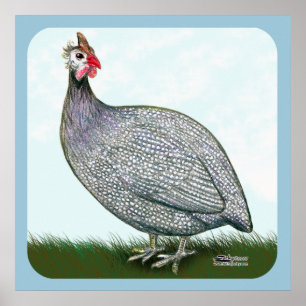 Guinese lavender On Watch Poster