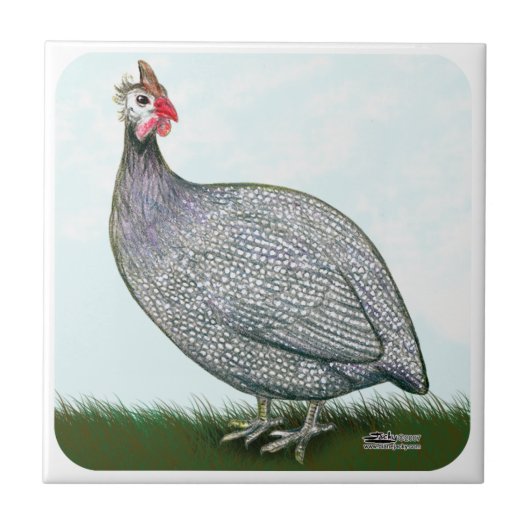 Guinese lavender On Watch Tegeltje (Voorkant)