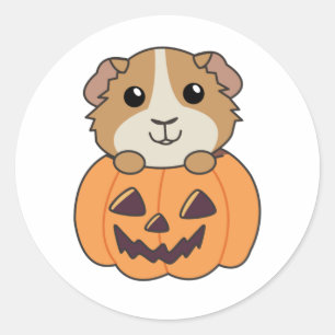 Guinese pompoen zoete dieren Happy Halloween Ronde Sticker