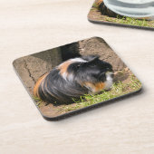 Guinese varken bier onderzetter (Linkerzijde)