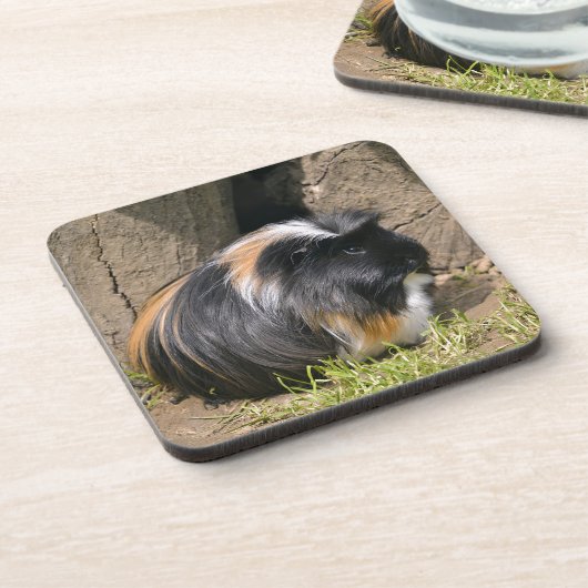 Guinese varken bier onderzetter (Linkerzijde)