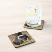 Guinese varken bier onderzetter (Rechterzijde)