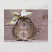 Guinese varken briefkaart (Voorkant)