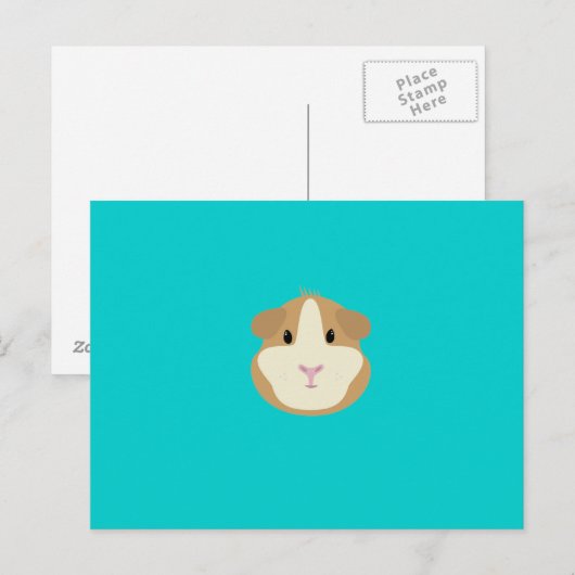 Guinese varken briefkaart (Voorkant / Achterkant)