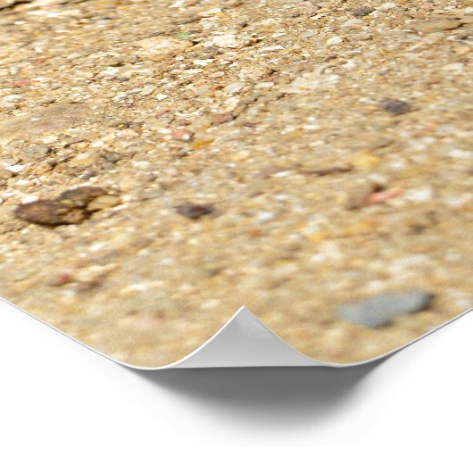 Guinese varken dat op zand loopt poster (Hoek)