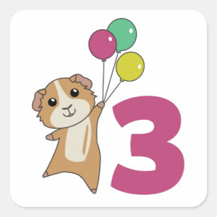 Guinese varken Derde verjaardag Balloons Square St Vierkante Sticker