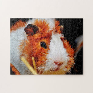 Guinese varken dicht bij elkaar, Jigzaag Puzzle Legpuzzel
