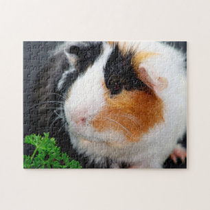 Guinese varken dicht bij elkaar, Jigzaag Puzzle Legpuzzel