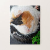 Guinese varken dicht bij elkaar, Jigzaag Puzzle Legpuzzel (Verticaal)