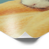 Guinese varken foto afdruk (Hoek)