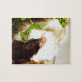 Guinese varken in de bloemen legpuzzel (Horizontaal)