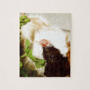 Guinese varken in de bloemen legpuzzel