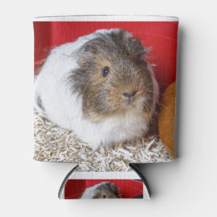 Guinese varken in een kooi blikjeskoeler