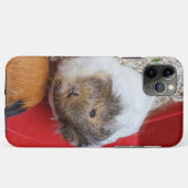 Guinese varken in een kooi Case-Mate iPhone case (Achterkant (horizontaal))