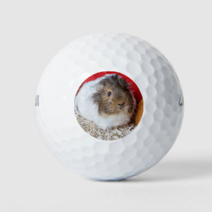 Guinese varken in een kooi golfballen