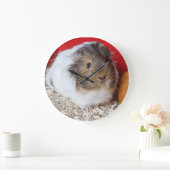 Guinese varken in een kooi grote klok (Huis)