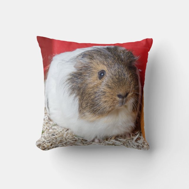 Guinese varken in een kooi kussen (Voorkant)