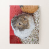 Guinese varken in een kooi legpuzzel (Verticaal)
