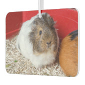 Guinese varken in een kooi luchtverfrisser (Links)