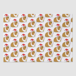 Guinese varken in een Santa Hat met Kerstmis Tissuepapier