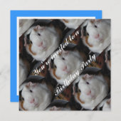 Guinese varken kaart (Voorkant / Achterkant)