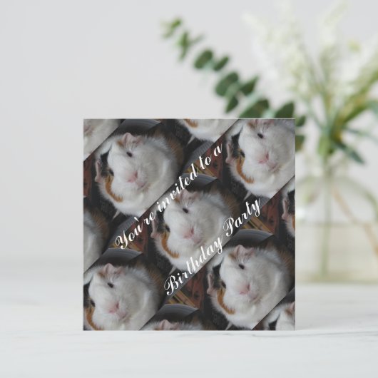 Guinese varken kaart (Staand voorkant)