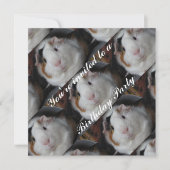 Guinese varken kaart (Voorkant)