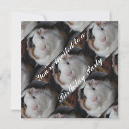 Guinese varken kaart