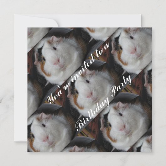 Guinese varken kaart (Voorkant)