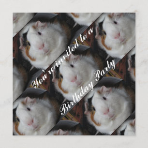 Guinese varken kaart