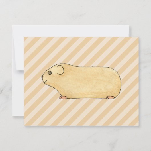 Guinese varken. kaart (Achterkant)