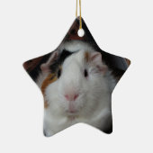 Guinese varken keramisch ornament (Rechts)