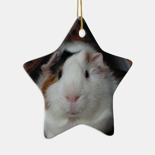 Guinese varken keramisch ornament (Rechts)