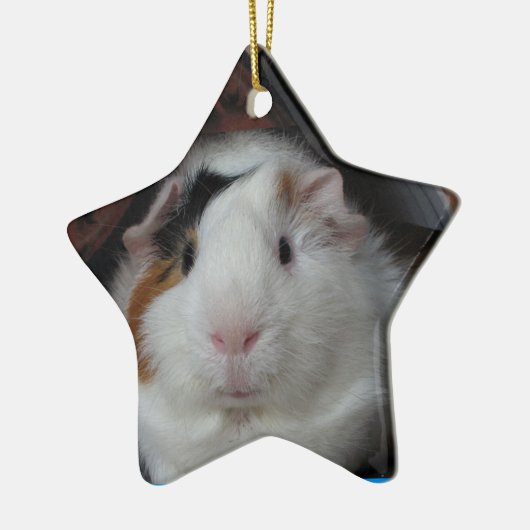 Guinese varken keramisch ornament (Links)