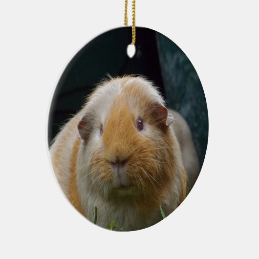 Guinese varken keramisch ornament (Rechts)