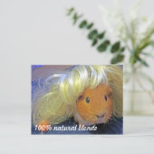 Guinese varken met blonde pruik briefkaart (Staand voorkant)