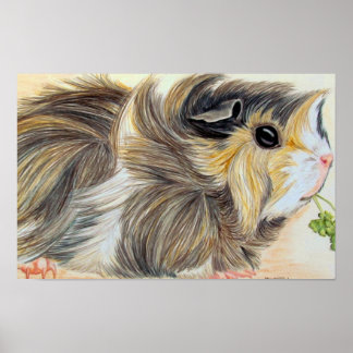 Guinese varken met Sprig Poster