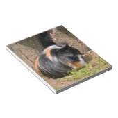 Guinese varken notitieblok (Schuin)