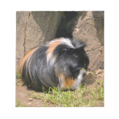 Guinese varken notitieblok (Voorkant)