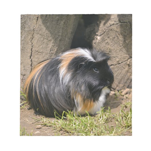 Guinese varken notitieblok (Voorkant)
