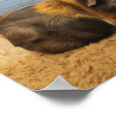 Guinese varken onder palmbomen Poster (Hoek)