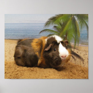 Guinese varken onder palmbomen Poster