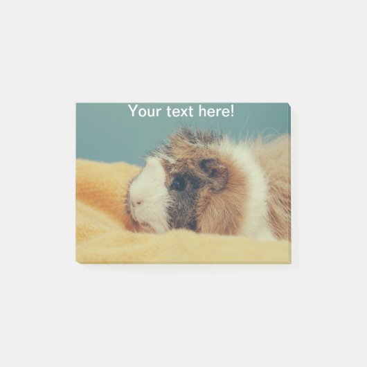 Guinese varken post-it® notes (Voorkant)