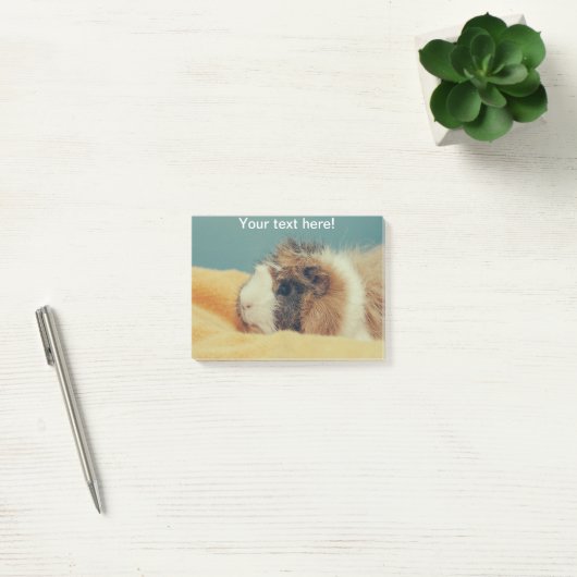 Guinese varken post-it® notes (Kantoor)