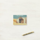 Guinese varken post-it® notes (Op bureau)