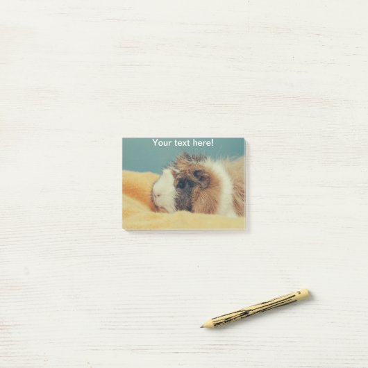 Guinese varken post-it® notes (Op bureau)