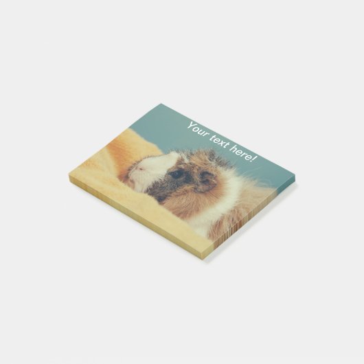 Guinese varken post-it® notes (Schuin)